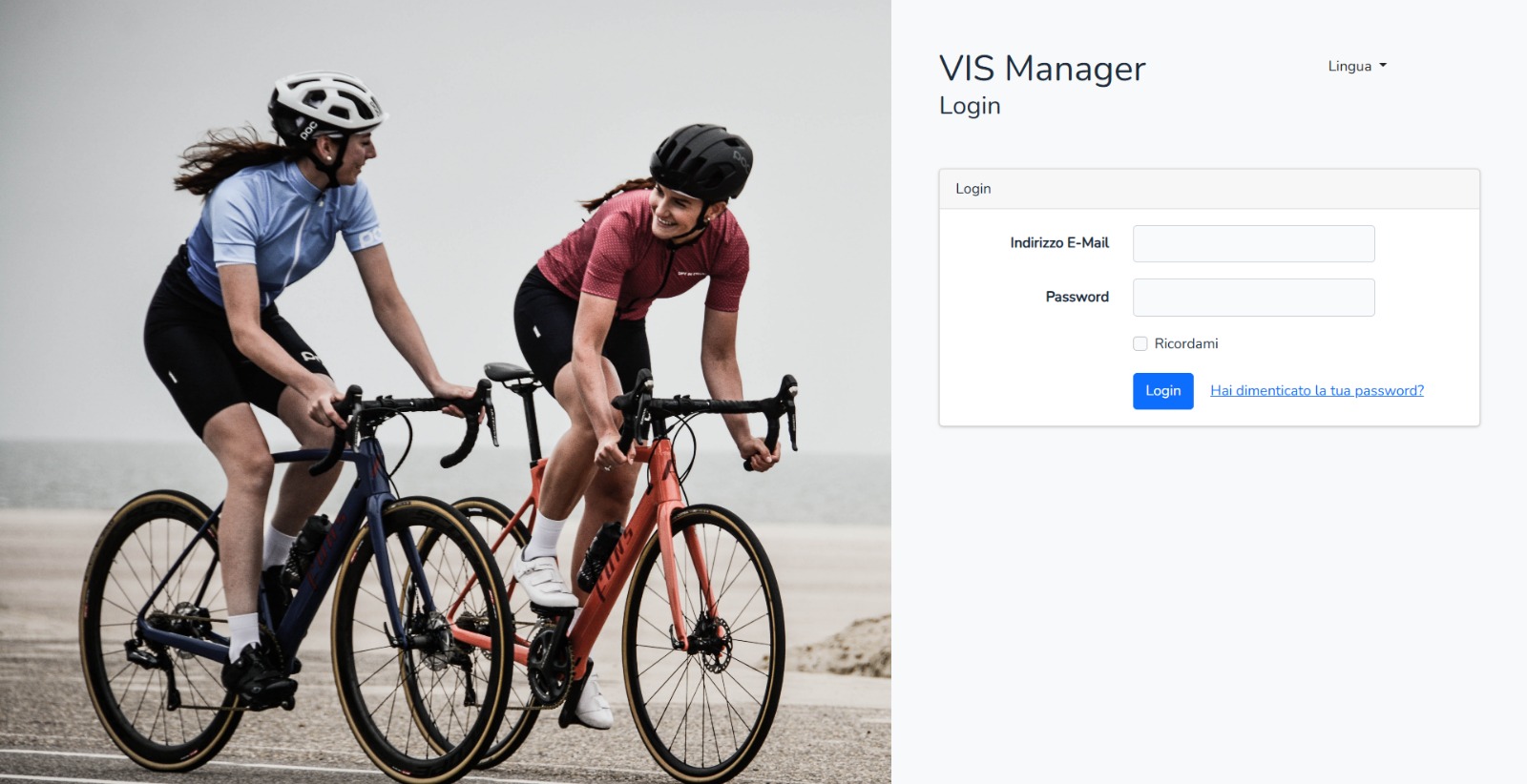 VIS Manager